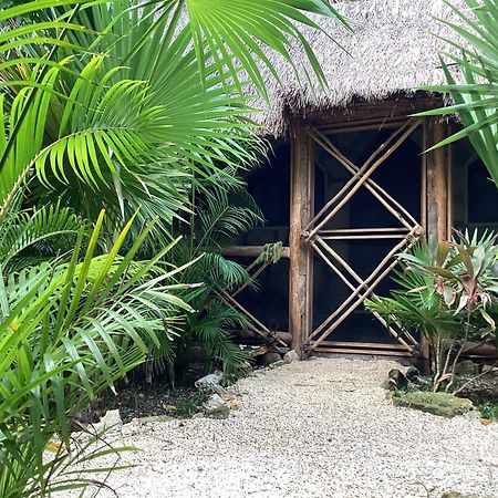 Yaxchen Tulum Cabanas & Cenote ภายนอก รูปภาพ