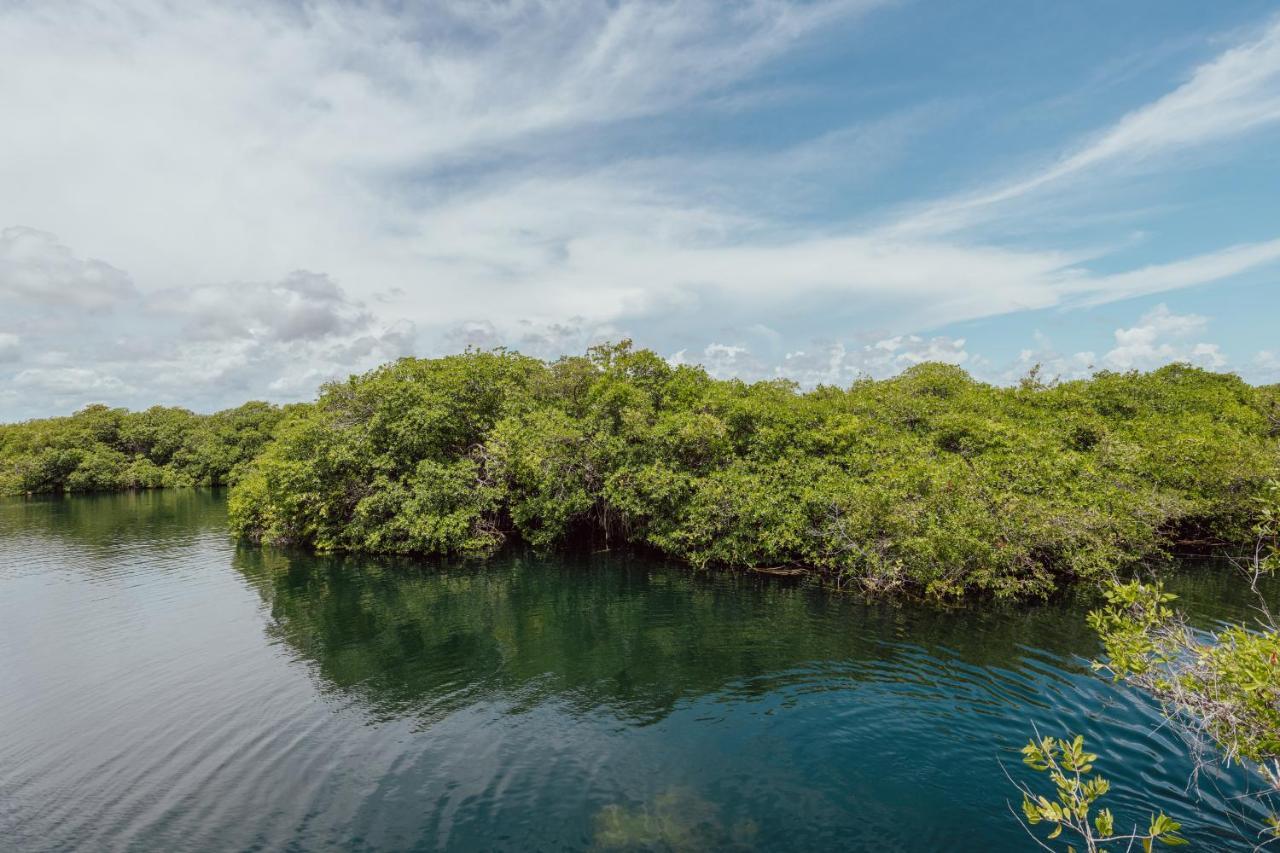 Yaxchen Tulum Cabanas & Cenote ภายนอก รูปภาพ