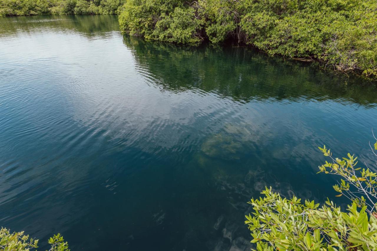 Yaxchen Tulum Cabanas & Cenote ภายนอก รูปภาพ