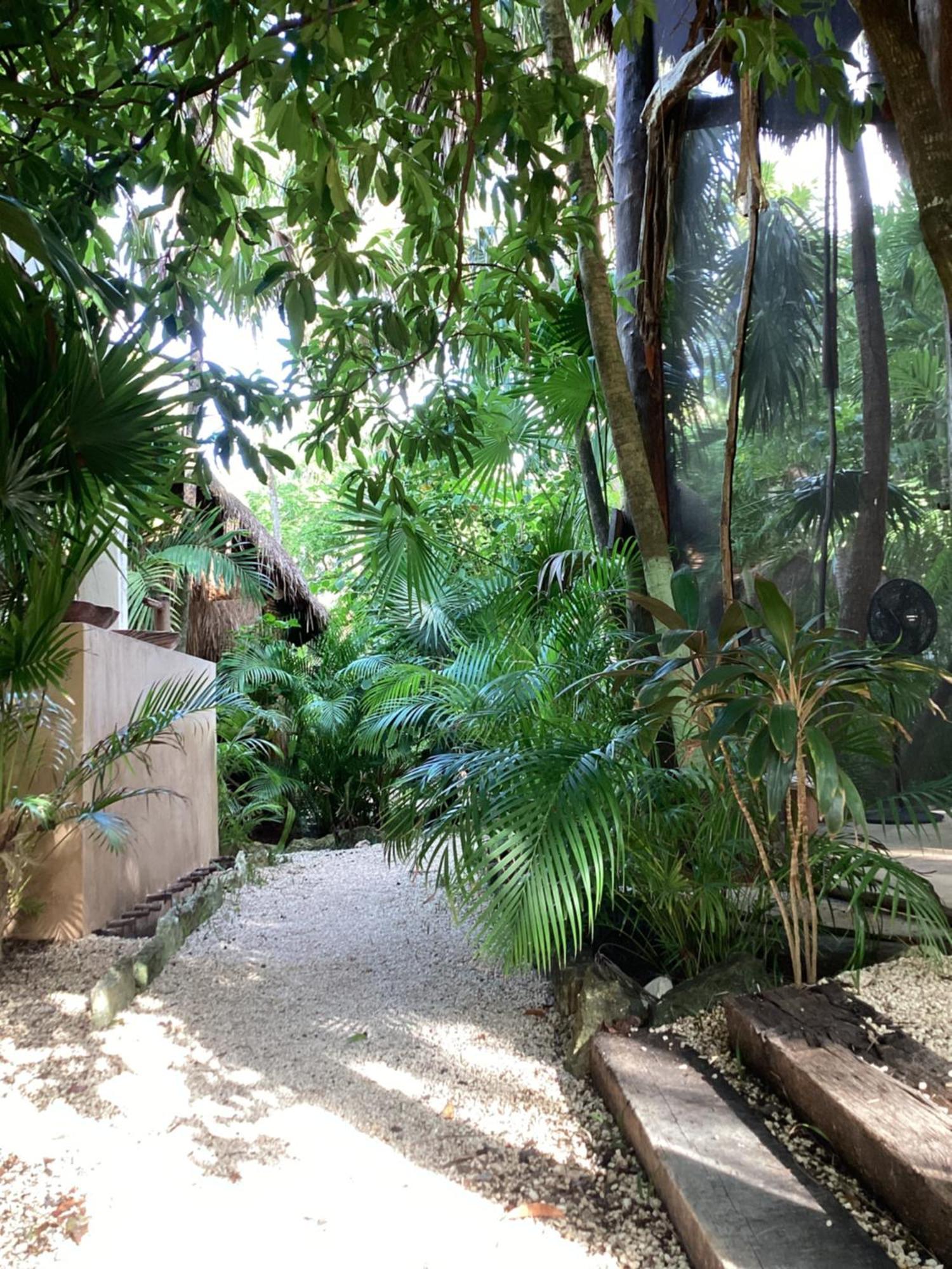 Yaxchen Tulum Cabanas & Cenote ภายนอก รูปภาพ